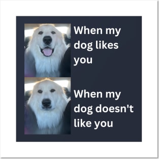 When my dog likes you vs when my dog doesn't like you Posters and Art